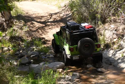 DSC_5908 (Large).JPG